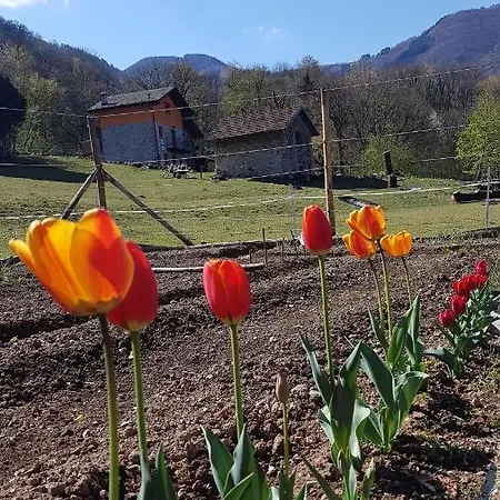 Farm stay Eleonora
